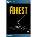 The Forest Steam